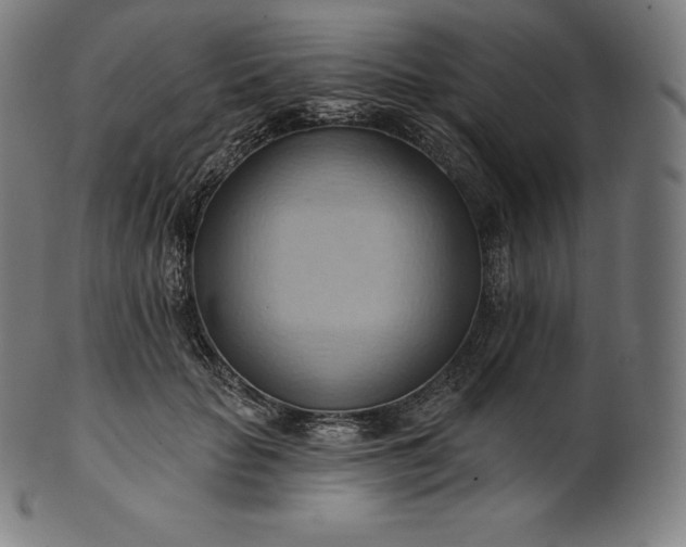 X0000101210653200807111034