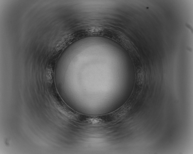 X0000101210654200807111034