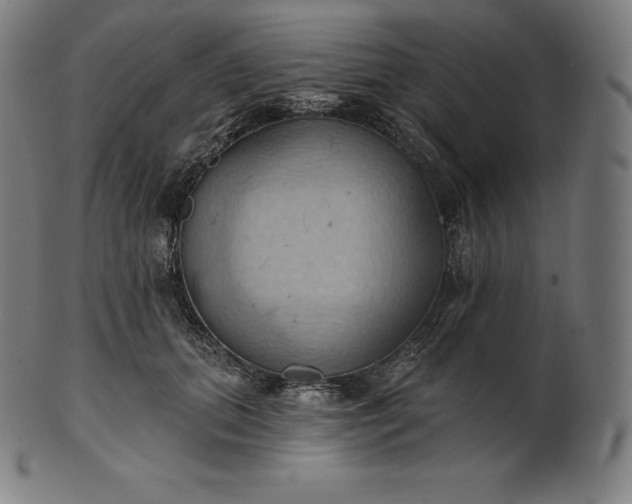 X0000101210655200807111034