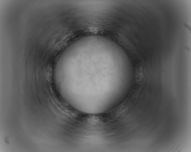 X0000101210656200807111034