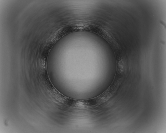 X0000101210657200807111034