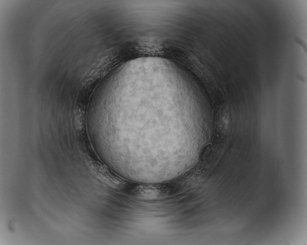 X0000101210658200807111034