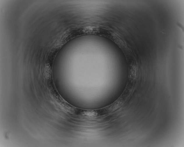 X0000101210659200807111034