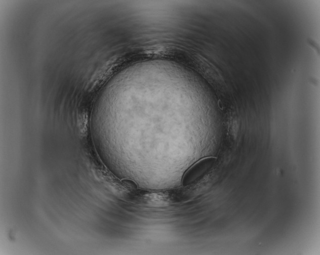 X0000101210660200807111034