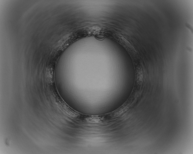 X0000101210661200807111034