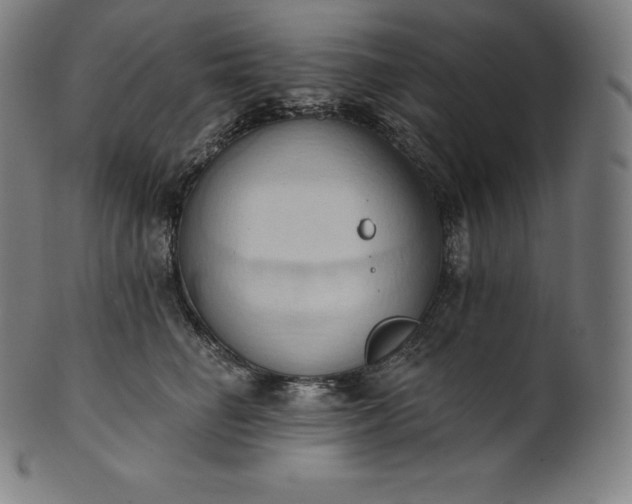 X0000101210662200807111034