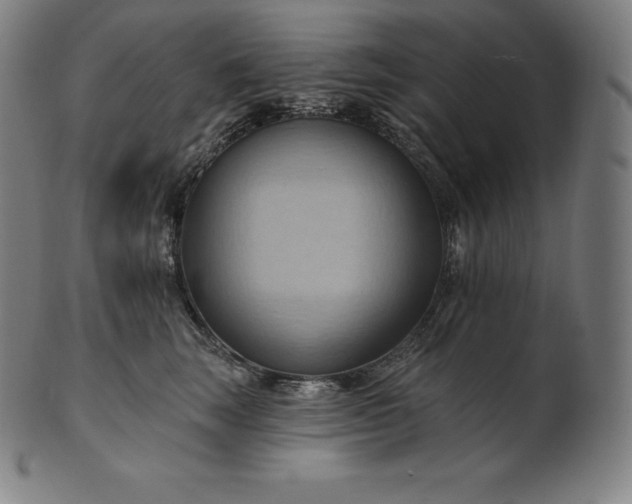 X0000101210663200807111034