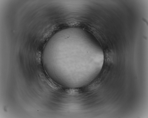 X0000101210664200807111034