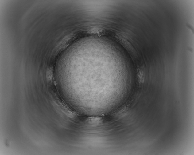 X0000101210665200807111034