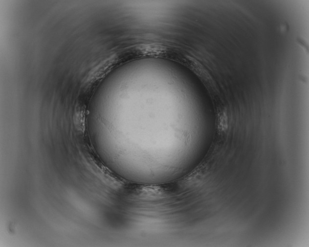 X0000101210666200807111034