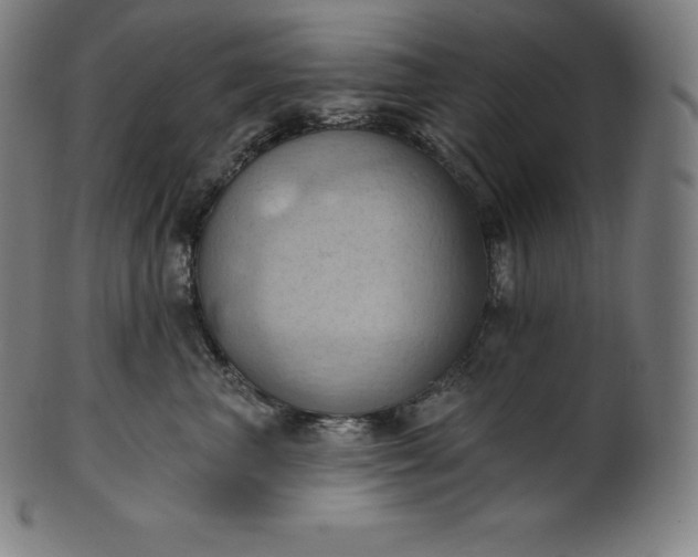 X0000101210667200807111034