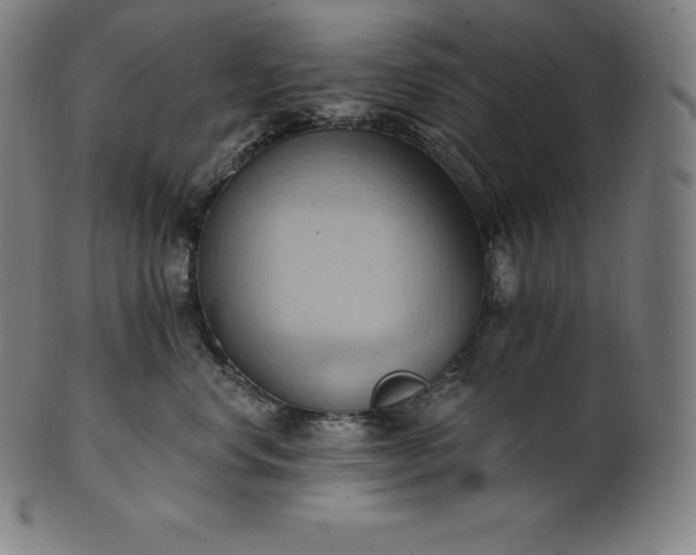 X0000101210668200807111034