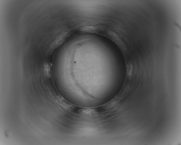 X0000101210669200807111034