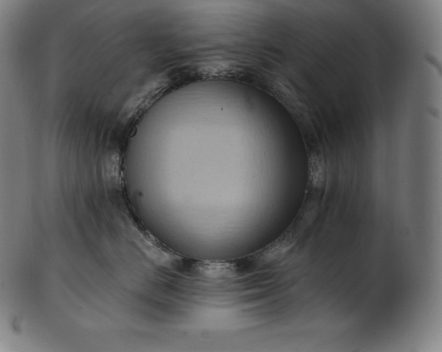 X0000101210670200807111034