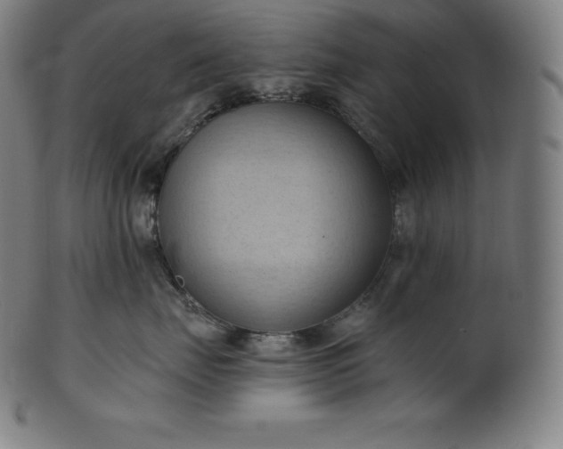 X0000101210671200807111034