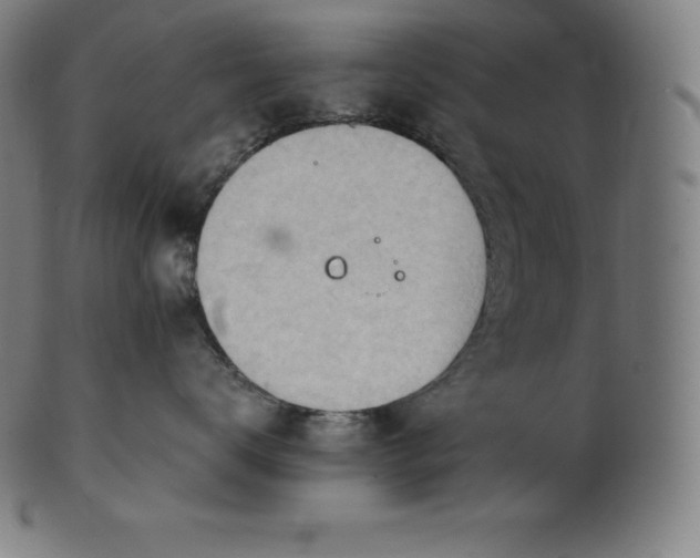 X0000101210672200807111034