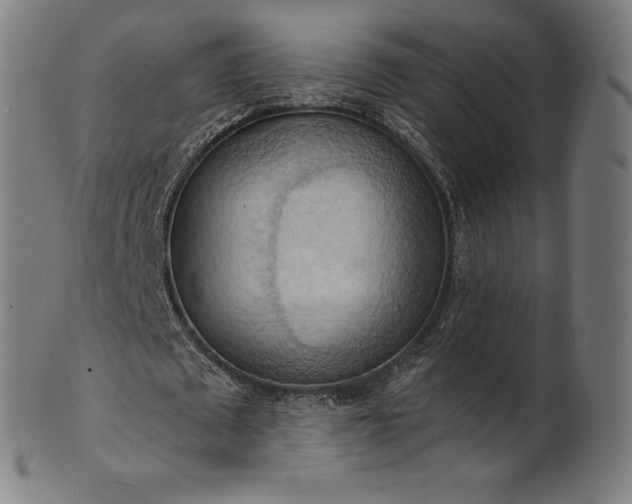 X0000101210673200807111034