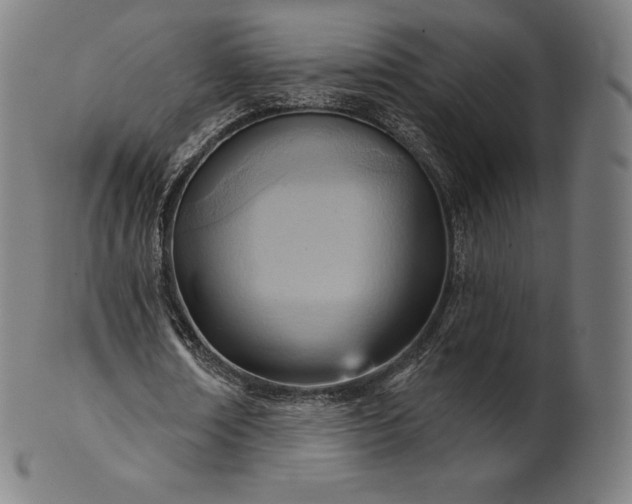 X0000101210674200807111034