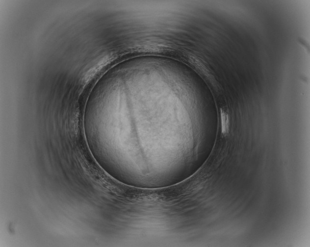 X0000101210675200807111034