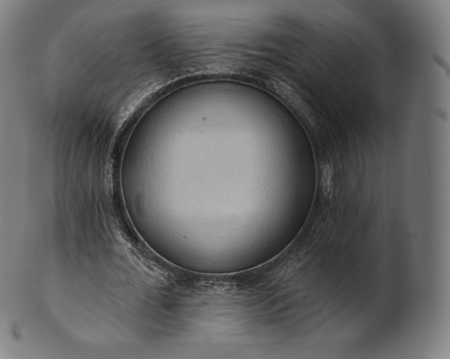 X0000101210676200807111034