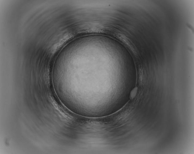 X0000101210677200807111034