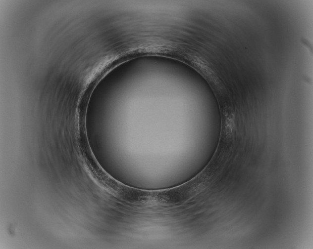 X0000101210678200807111034