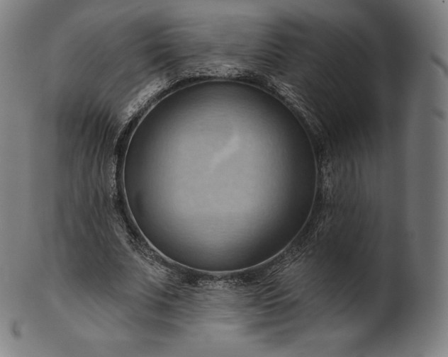 X0000101210679200807111034