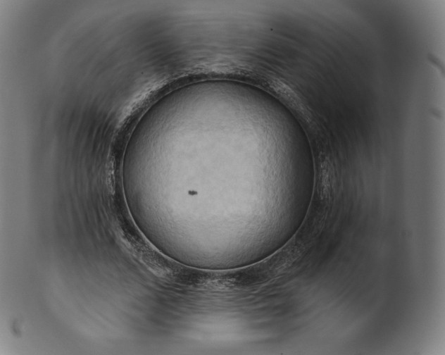 X0000101210680200807111033