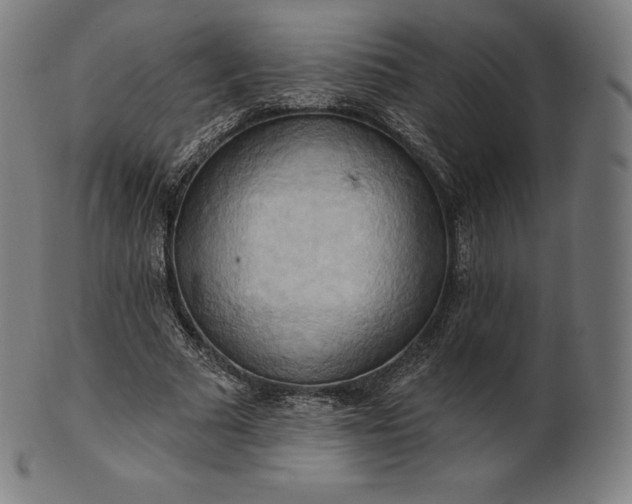 X0000101210681200807111033