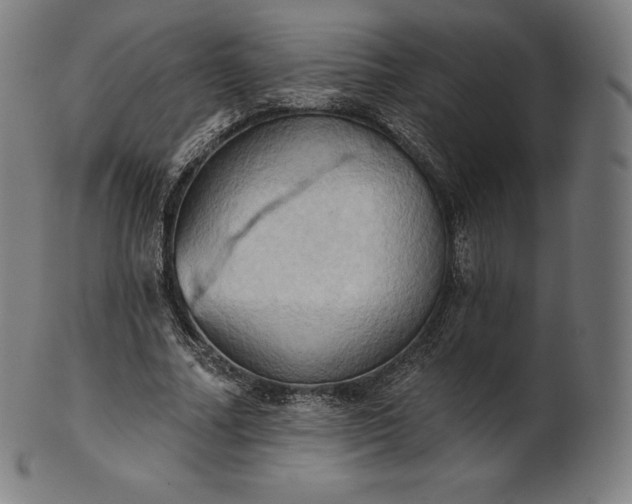 X0000101210682200807111033