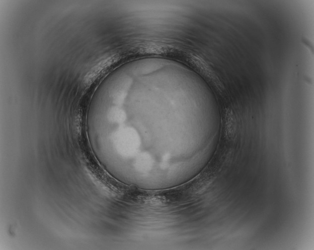 X0000101210683200807111033