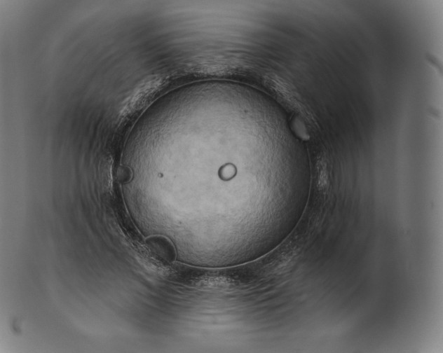 X0000101210685200807111033