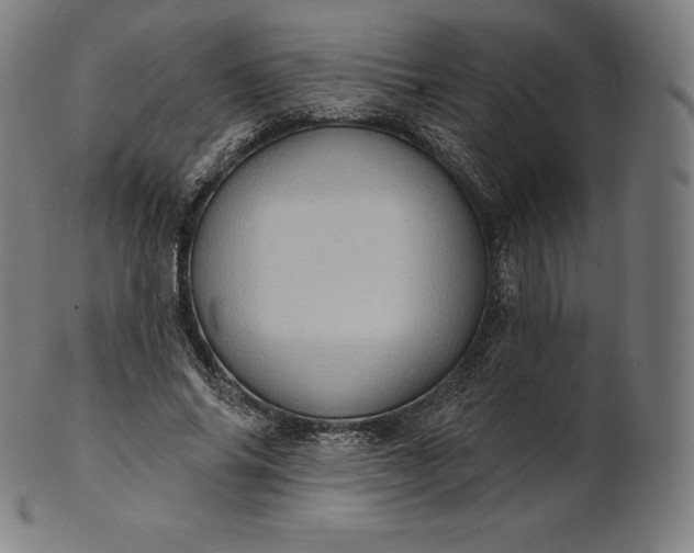 X0000101210686200807111033