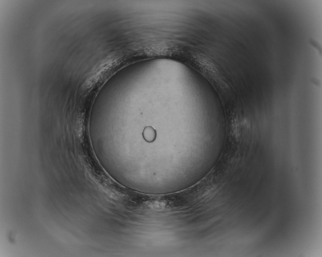 X0000101210687200807111033