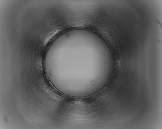 X0000101210688200807111033