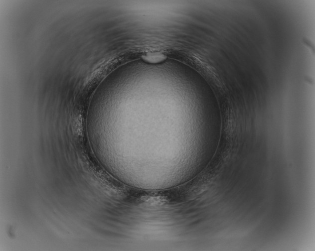 X0000101210689200807111033