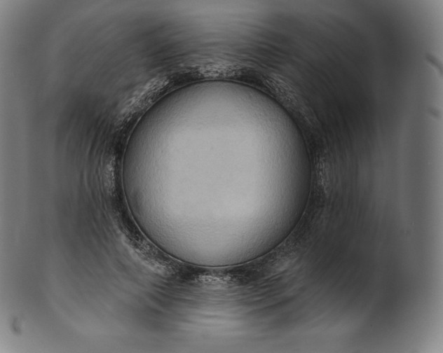 X0000101210690200807111033