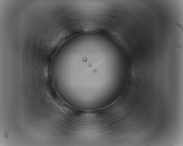 X0000101210691200807111033