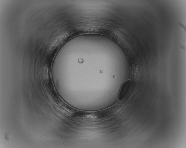 X0000101210692200807111033