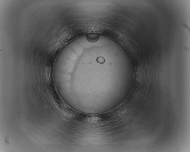 X0000101210695200807111033