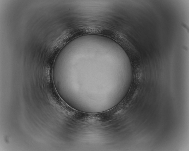 X0000101210696200807111033