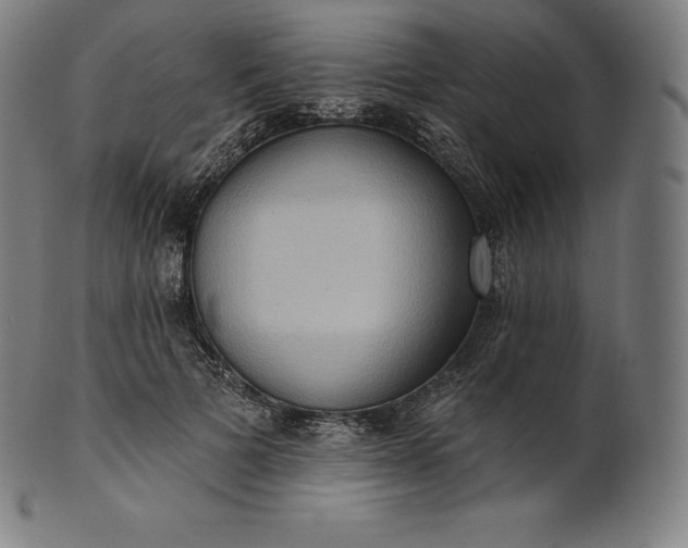 X0000101210697200807111033