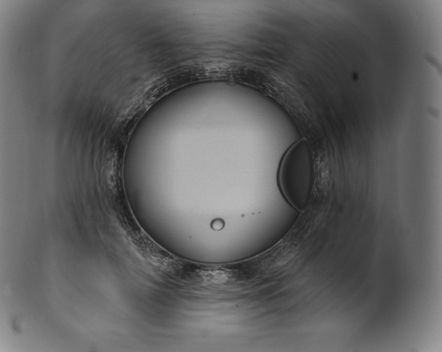 X0000101210698200807111033