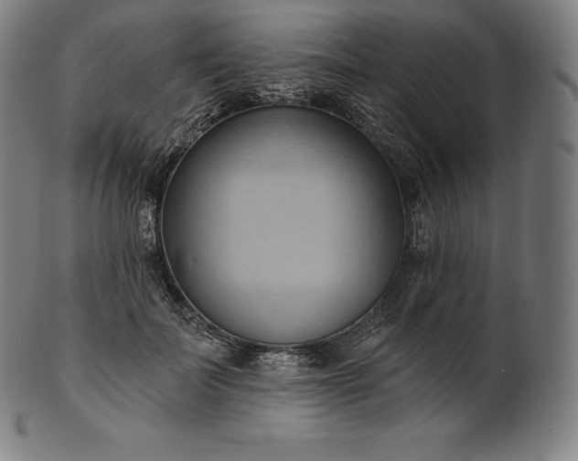 X0000101210699200807111033