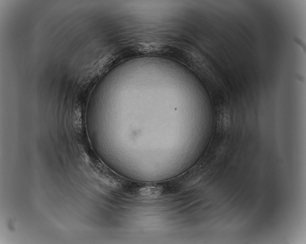 X0000101210700200807111033