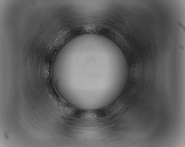 X0000101210702200807111033