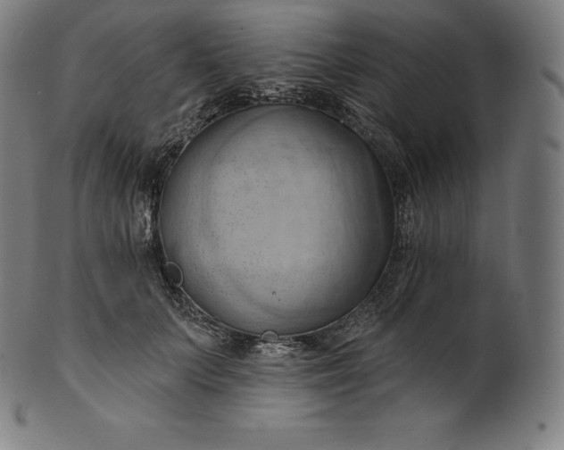 X0000101210703200807111033