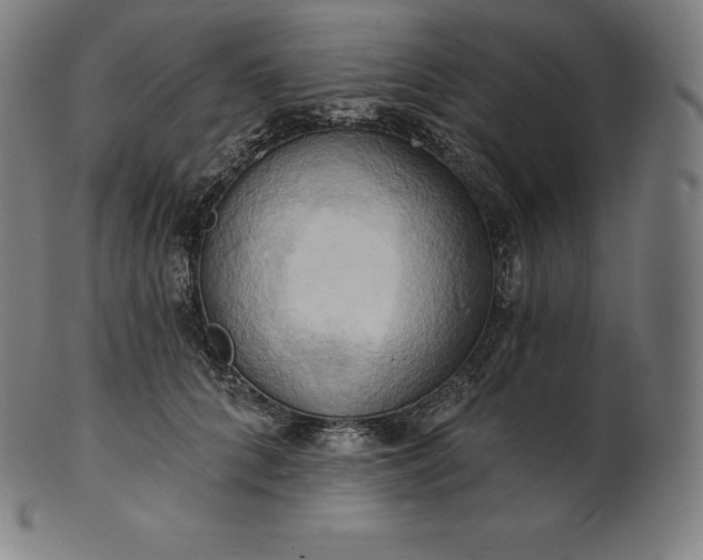 X0000101210704200807111033