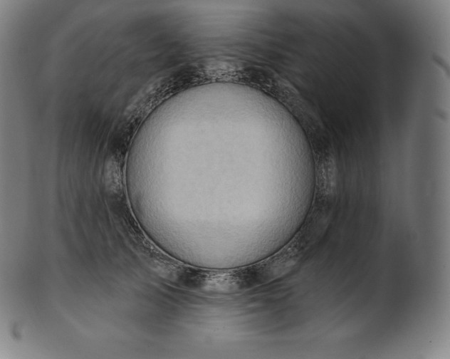 X0000101210705200807111033