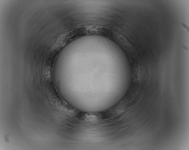 X0000101210706200807111033